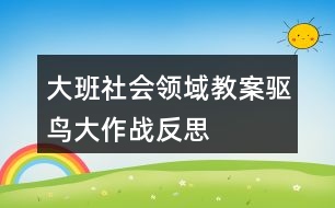 大班社會領域教案驅鳥大作戰(zhàn)反思