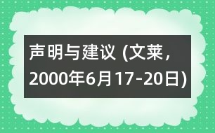 聲明與建議 (文萊，2000年6月17-20日)