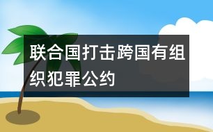 聯(lián)合國打擊跨國有組織犯罪公約