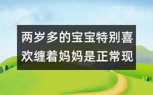 兩歲多的寶寶特別喜歡纏著媽媽是正?，F(xiàn)象