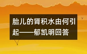 胎兒的腎積水由何引起――郁凱明回答