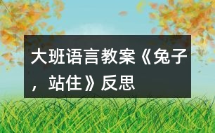 大班語言教案《兔子，站住》反思