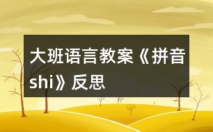 大班語言教案《拼音shi》反思