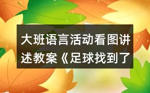 大班語言活動看圖講述教案《足球找到了》反思