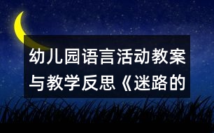 幼兒園語言活動(dòng)教案與教學(xué)反思《迷路的小鴨子》