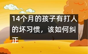 14個(gè)月的孩子有打人的壞習(xí)慣，該如何糾正