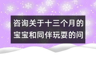 咨詢關(guān)于十三個(gè)月的寶寶和同伴玩耍的問(wèn)題