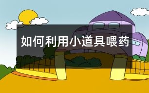 如何利用小道具喂藥