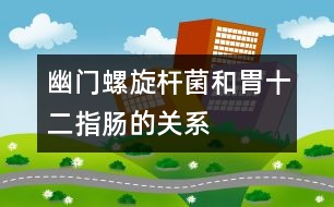 幽門螺旋桿菌和胃、十二指腸的關(guān)系