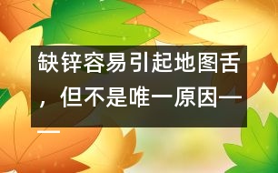 缺鋅容易引起地圖舌，但不是唯一原因――洪昭毅回答