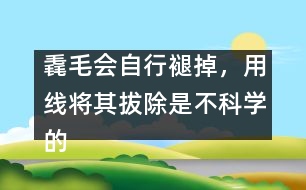 毳毛會(huì)自行褪掉，用線將其拔除是不科學(xué)的