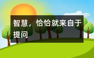 智慧，恰恰就來(lái)自于提問(wèn)