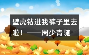 “壁虎”鉆進(jìn)我褲子里去啦！――周少青隨筆兩篇