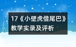 17《小壁虎借尾巴》教學(xué)實(shí)錄及評(píng)析