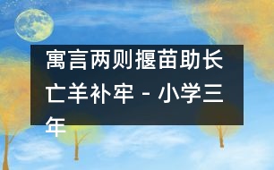 寓言兩則（揠苗助長(zhǎng) 亡羊補(bǔ)牢） - 小學(xué)三年級(jí)語(yǔ)文教案