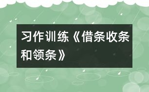 （習(xí)作訓(xùn)練）《借條、收條和領(lǐng)條》