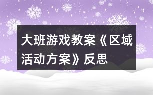 大班游戲教案《區(qū)域活動(dòng)方案》反思