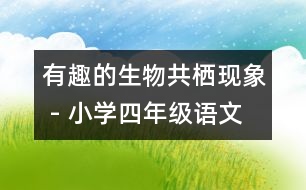 有趣的生物共棲現(xiàn)象 - 小學(xué)四年級(jí)語文教案