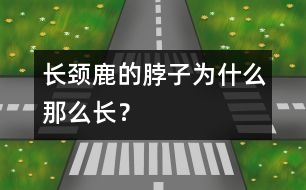 長頸鹿的脖子為什么那么長？