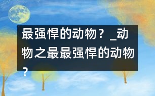 最強悍的動物？_動物之最：最強悍的動物？