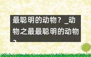 最聰明的動物？_動物之最：最聰明的動物？