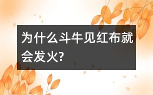 為什么斗牛見紅布就會(huì)發(fā)火?