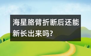 海星胳臂折斷后還能新長出來嗎?