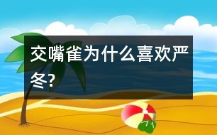 交嘴雀為什么喜歡嚴(yán)冬?