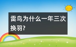 雷鳥(niǎo)為什么一年三次換羽?