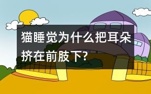 貓睡覺(jué)為什么把耳朵擠在前肢下?