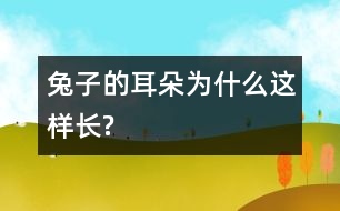 兔子的耳朵為什么這樣長(zhǎng)?