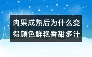 肉果成熟后為什么變得顏色鮮艷香甜多汁？