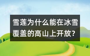 雪蓮為什么能在冰雪覆蓋的高山上開放？