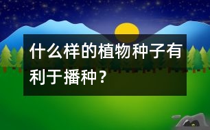 什么樣的植物種子有利于播種？