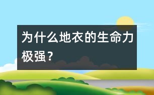 為什么地衣的生命力極強？