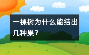 一棵樹為什么能結出幾種果？