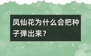 鳳仙花為什么會(huì)把種子彈出來？