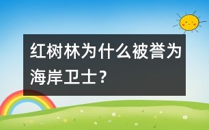 紅樹林為什么被譽(yù)為“海岸衛(wèi)士”？