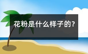 花粉是什么樣子的？