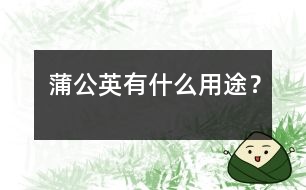 蒲公英有什么用途？