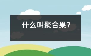 什么叫聚合果？