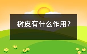 樹皮有什么作用？