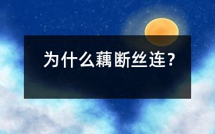 為什么藕斷絲連？