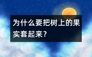 為什么要把樹(shù)上的果實(shí)套起來(lái)？