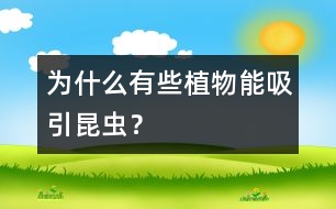 為什么有些植物能吸引昆蟲(chóng)？