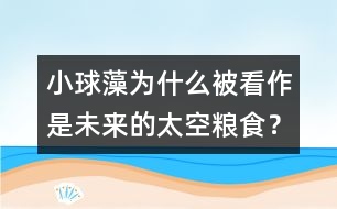 小球藻為什么被看作是未來的太空糧食？