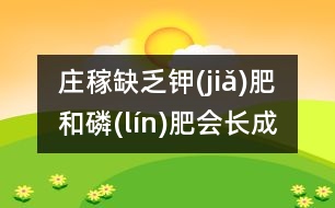 莊稼缺乏鉀(jiǎ)肥和磷(lín)肥會長成什么樣？