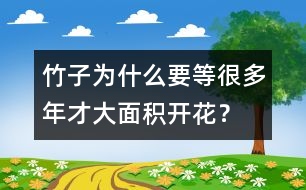 竹子為什么要等很多年才大面積開(kāi)花？