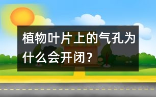 植物葉片上的氣孔為什么會開閉？