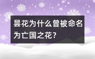 曇花為什么曾被命名為“亡國(guó)之花”？